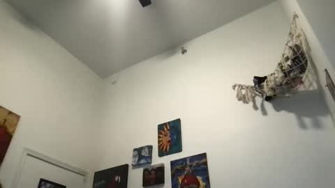 skybabytv online show from October 28, 10:25 pm