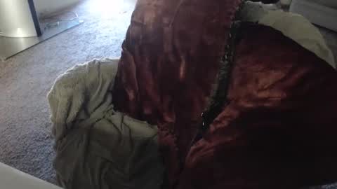 SKYLE   online show from December 21, 3:49 pm