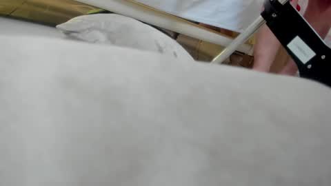 Paola  online show from February 4, 6:49 am