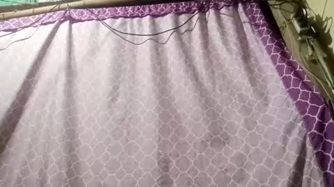 soft_bads online show from September 11, 12:38 pm