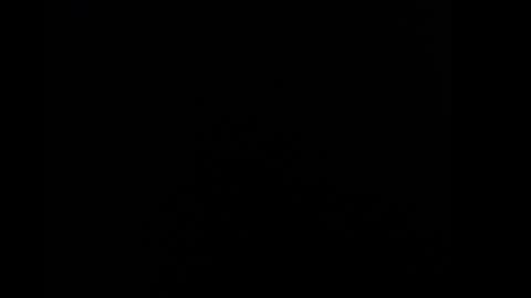 Rose online show from November 5, 9:09 pm