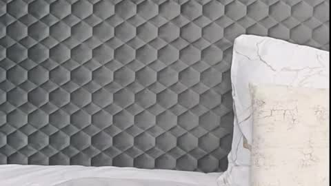 SophieWild online show from February 6, 9:12 am