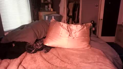 sours online show from November 11, 5:32 pm