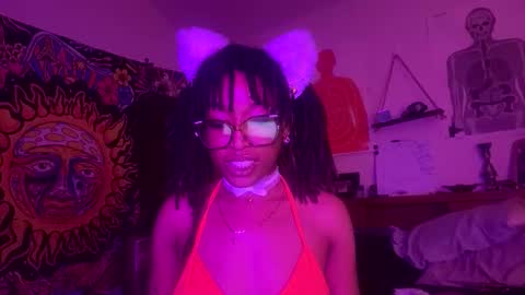 stellakobra online show from November 18, 11:15 pm