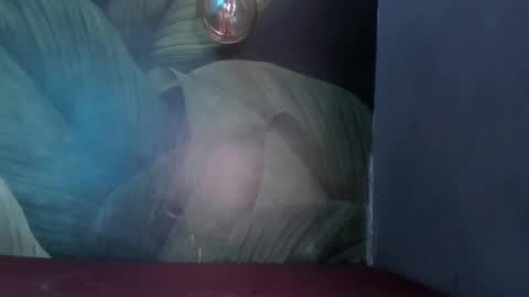 STEFANY  online show from December 14, 7:36 pm