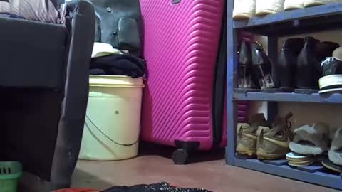 submissive_slut001 online show from February 11, 11:31 am