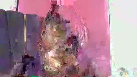Honey online show from June 9, 1:43 pm