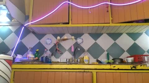 super jony and Marta GMT 1400-2000 every day online show from December 5, 2:18 pm