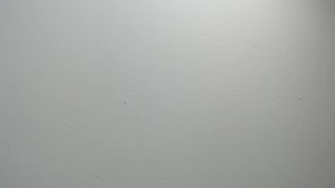 Snapshot of sussy_leon chatting on February 11, 12:15 pm sussy leon online show from February 11, 12:15 pm