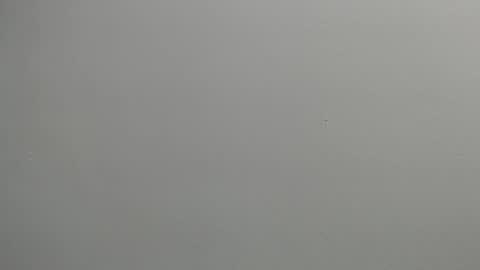 Snapshot of sussy_leon chatting on January 28, 12:11 pm sussy leon online show from January 28, 12:11 pm