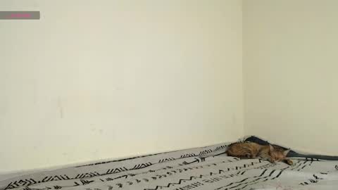 Fernanda independent model online show from April 11, 3:27 pm