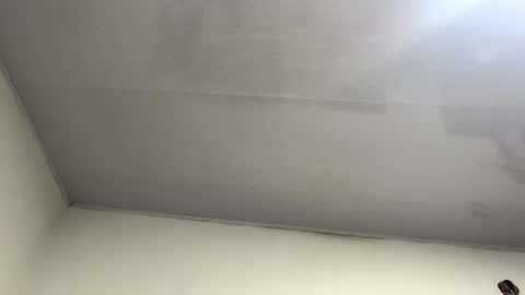 tali  online show from October 26, 11:22 pm