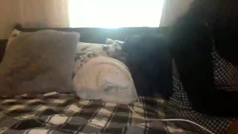 Tatianna Marie online show from January 7, 9:25 pm