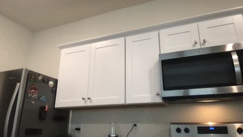 Daphne Summers online show from November 3, 5:28 pm