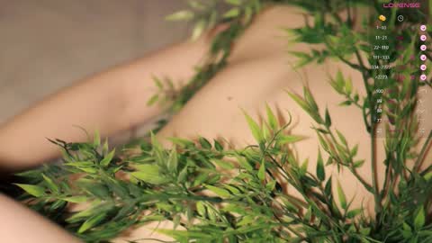 Toshi online show from October 13, 1:03 pm