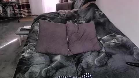 Lana online show from March 26, 1:41 am