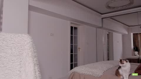 Silvia online show from March 18, 5:18 pm