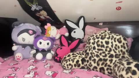 urlittlekittylana online show from January 14, 3:22 am