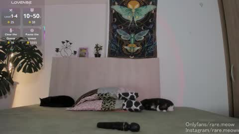    online show from March 29, 12:20 am