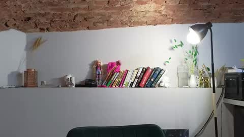 VENERA  online show from November 22, 7:22 am