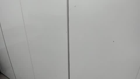 Sofi online show from February 10, 4:25 pm