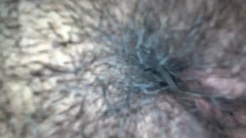 white_sexy_ online show from September 21, 11:31 am