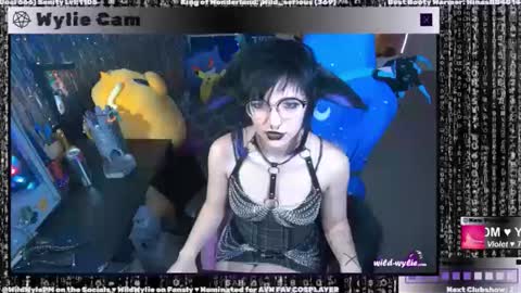 Snapshot of wildwylie chatting on January 3, 4:00 am Wylie Wanderlust online show from January 3, 4:00 am