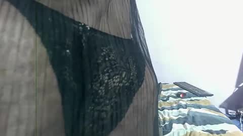 wilmaassylum online show from February 25, 6:25 am