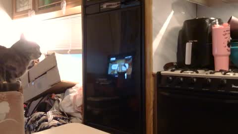 x2kayx2 online show from February 3, 1:05 pm