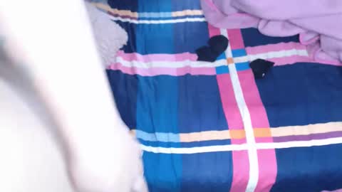       S A R A      100K followers online show from November 18, 11:22 am