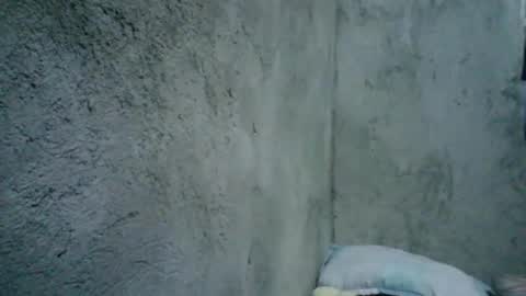 lanie online show from February 25, 10:15 am