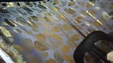 sunshine onduty online show from February 22, 10:21 pm