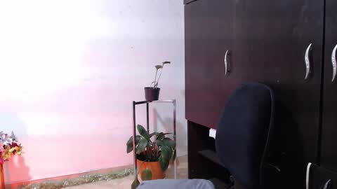 ZOE online show from December 3, 1:08 am