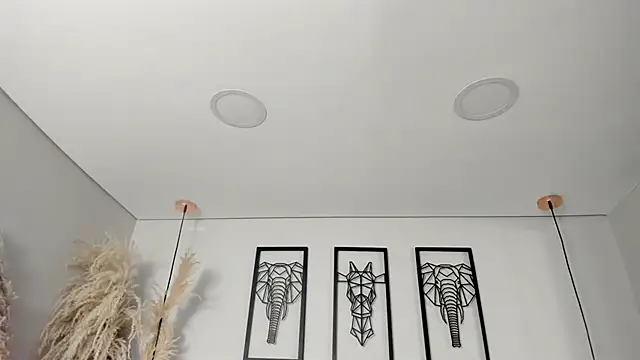 Rebeca jones online show from October 16, 12:30 pm