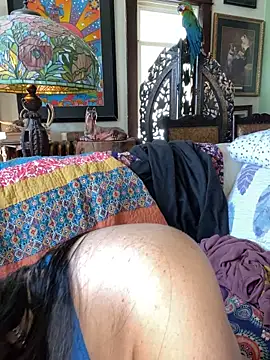 Snapshot of sexyasscougar chatting on September 30, 4:01 pm sexyasscougar online show from September 30, 4:01 pm