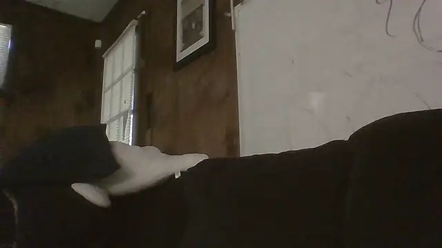 stellaquinn1775 online show from February 9, 9:39 pm