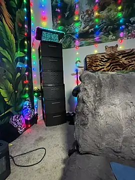 fatfabulous1981 online show from January 18, 12:51 am