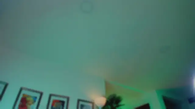 Taylor  foxxx online show from July 29, 6:02 am
