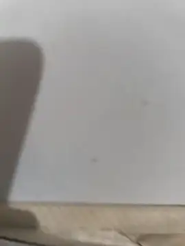 Sabrinagomeshot online show from June 16, 4:24 am