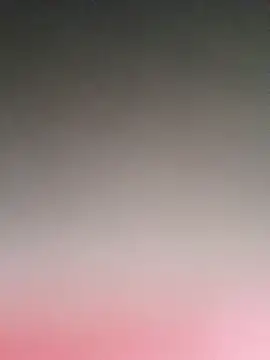 pnut 20 online show from December 19, 3:54 am