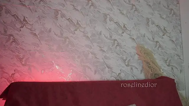 roselinedior online show from December 4, 11:56 am