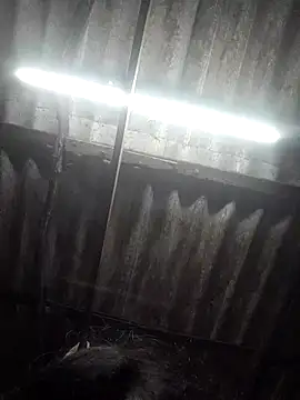 HotSexyBoudi online show from November 21, 9:44 am