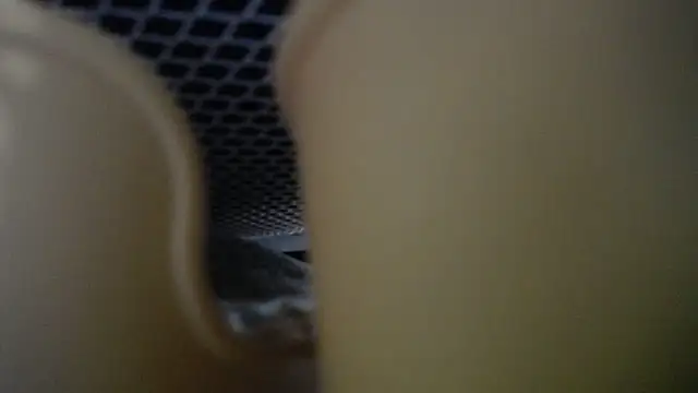 lovense test04 online show from December 1, 7:23 am