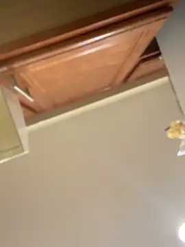 KiDaBrat online show from February 9, 2:36 am