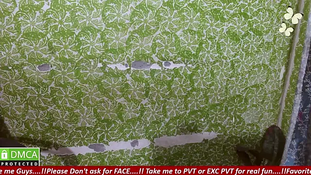  mOOn light  online show from November 11, 12:13 pm