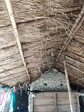 Miss Ayesha online show from February 12, 10:06 am