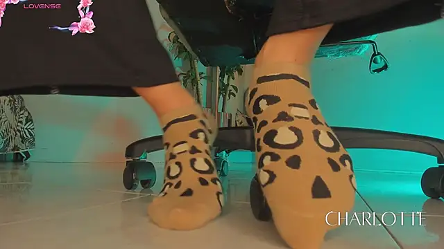 charlotte  grey online show from November 19, 8:42 pm