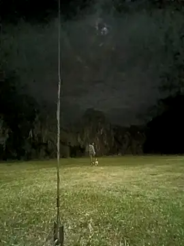 katia  dann online show from November 7, 3:12 am