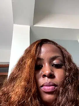 Rose berry online show from December 4, 7:54 am