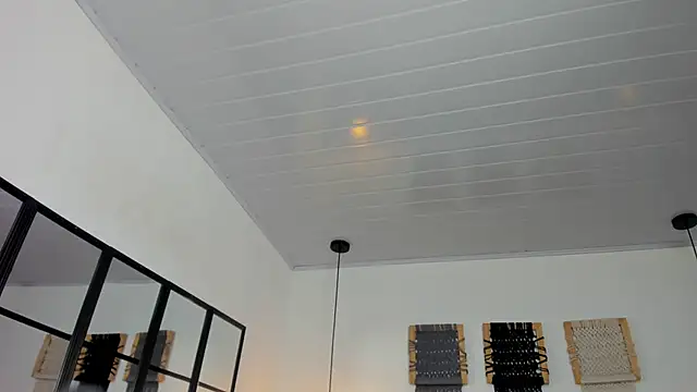 Sweet camille online show from January 12, 2:17 am